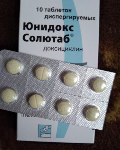 Юнидокс салютаб