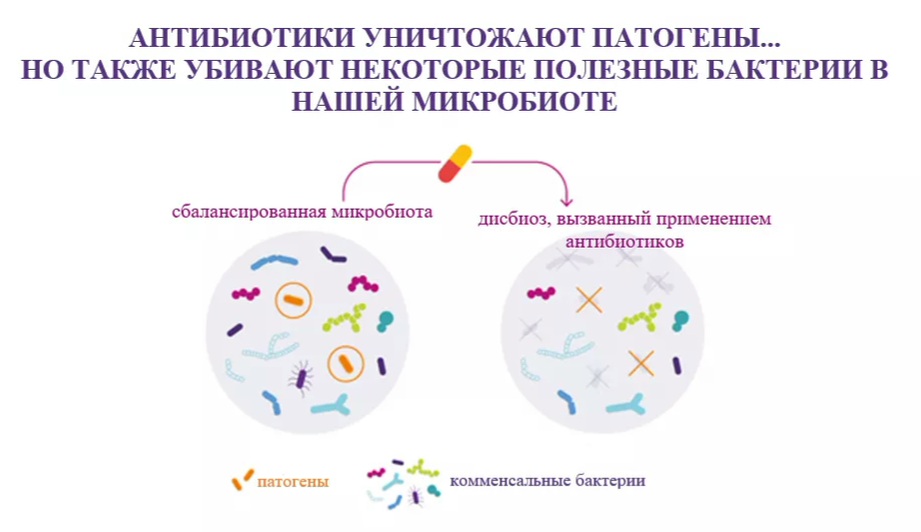 Антибиотики
